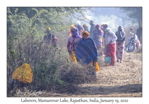 Laborers