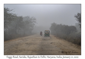 Foggy Road