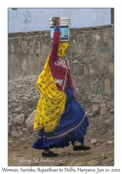 Woman with a Bucket