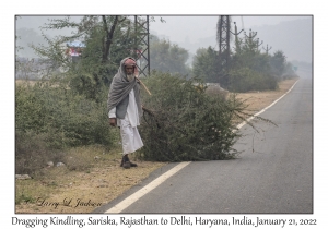 Dragging Kindling