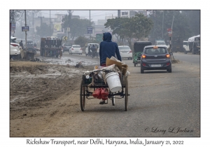 Rickshaw Transport