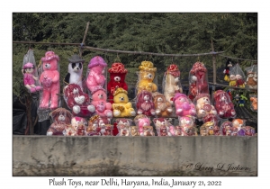 Plush Toys