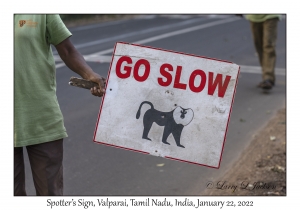 Spotter's Sign