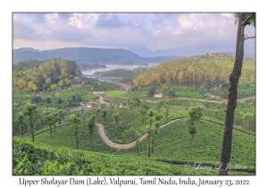 Upper Sholayar Dam