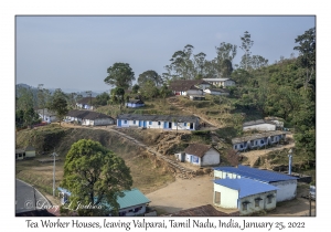 Tea Worker Houses