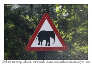 Elephant Warning