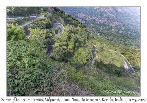 Hairpins