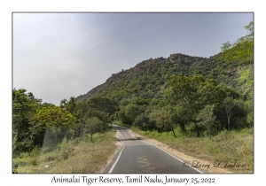 Animalai Tiger Reserve