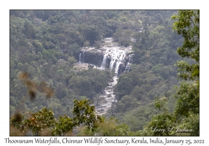 Thoovanam Waterfalls