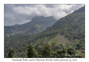 Anamudi Peak