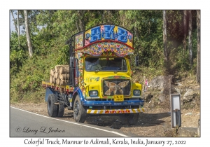 Colorful Truck