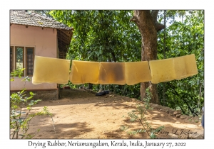 Drying Rubber