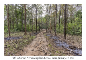 Path to Shrine