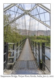 Suspension Bridge