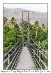 Suspension Bridge