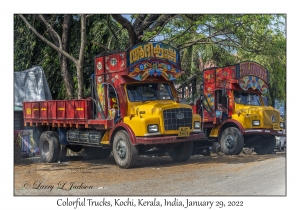 Colorful Trucks