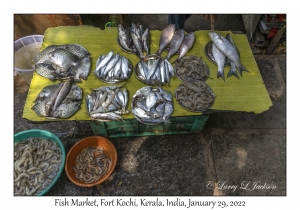 Fish Market