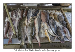 Fish Market