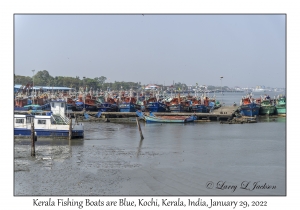 Kerala Boats are Blue