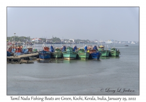 Tamil Nadu Boats are Green