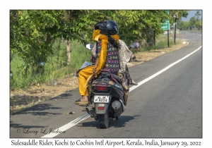 Sidesaddle Rider