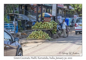 Green Coconuts