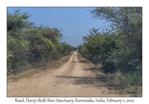 Road