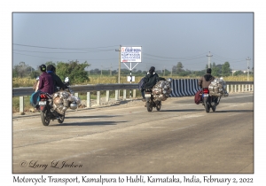 Motorcycle Transport