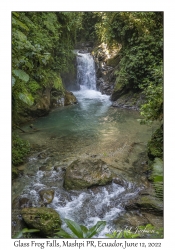 Glass Frog Falls