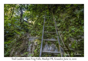 Trail Ladder