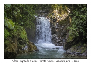 Glass Frog Falls