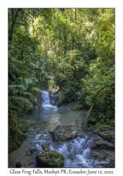 Glass Frog Falls