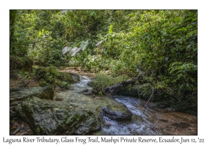 Laguna River tributary