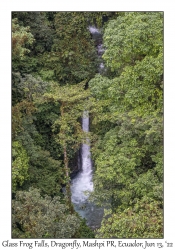 Glass Frog Falls