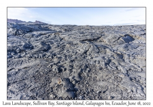 Lava Landscape