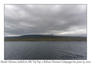 Alcedo Volcano, Isabela Island