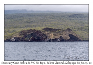 Secondary Cone, Isabela Island