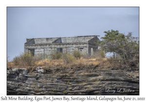 Salt Mine Building