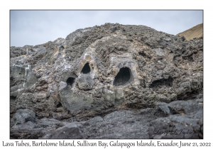 Lava Tubes