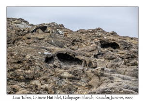 Lava Tubes