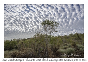 Great Clouds