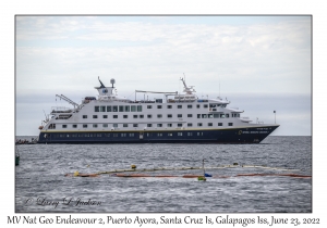 MV Natl Geo Endeavour 2