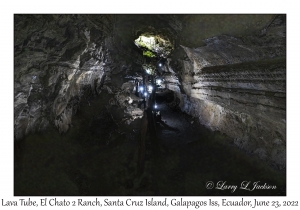 Lava Tube