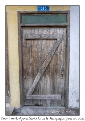 Door