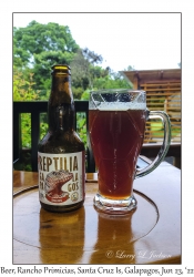 Reptilia Beer