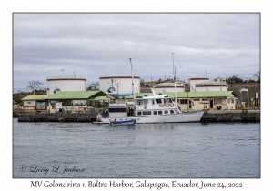 MV Golondrina 1