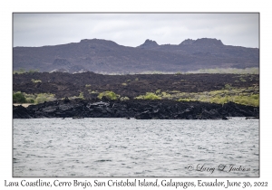 Lava Coastline