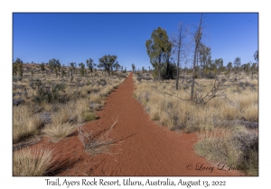 Trail