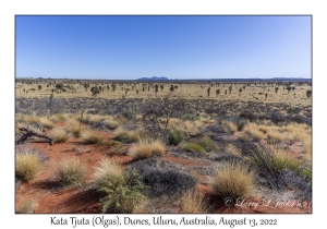 Kata Tjuta (Olgas)