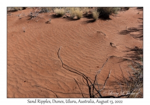 Sand Ripples